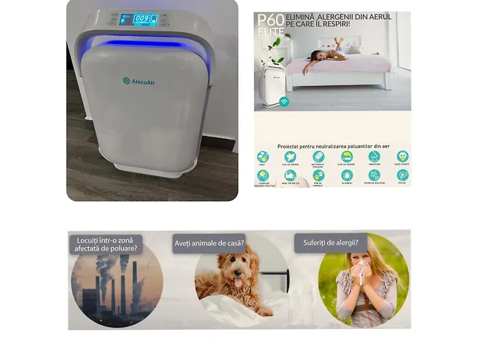 Occo By The Mountains * ブラショフ